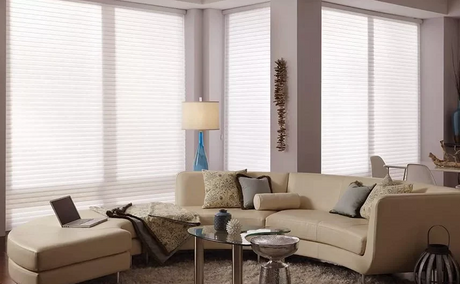 Fabric Slats Shangri-la Sheer Blinds.png