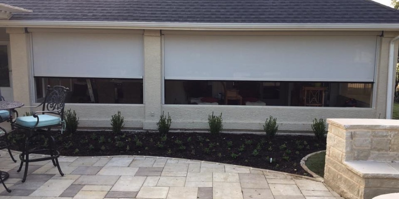 สวนหลังบ้าน