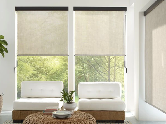 Amazon Roller Shades